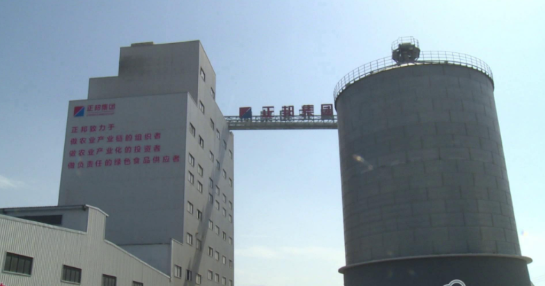 沙洋正邦現(xiàn)代公司